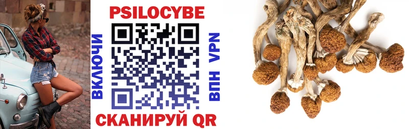 Купить Нелидово Галлюциногенные грибы мицелий